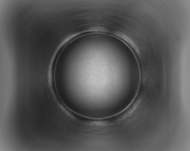 X0000101661037200807171309