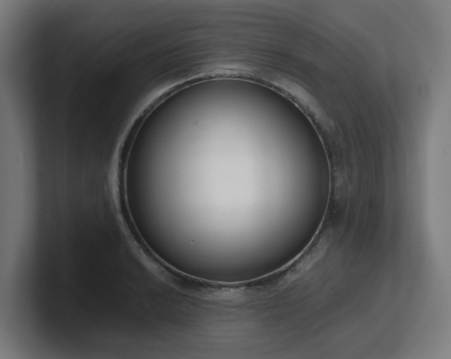 X0000101661038200807171309