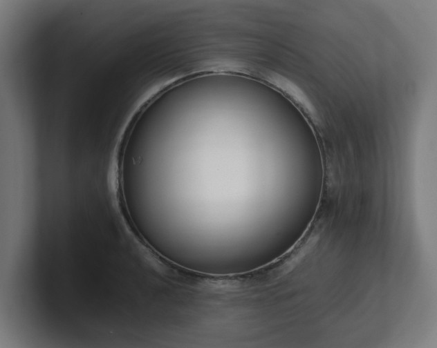 X0000101661040200807171309