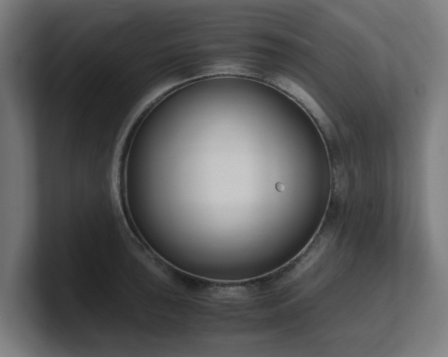 X0000101661043200807171309