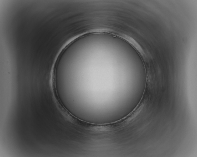 X0000101661044200807171309