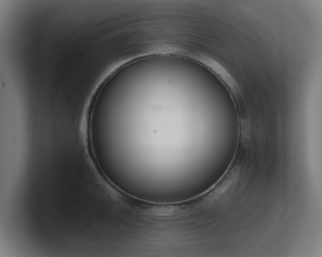 X0000101661046200807171310