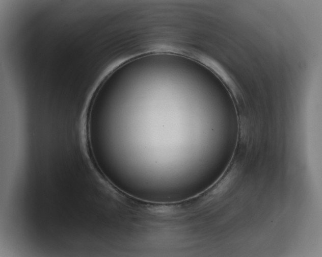 X0000101661048200807171310