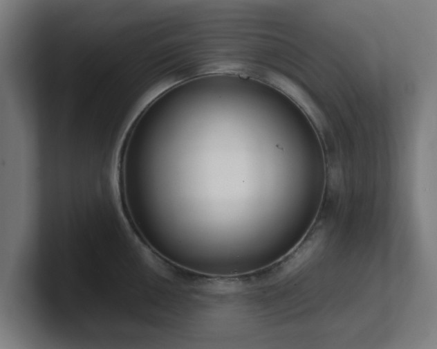 X0000101661050200807171310