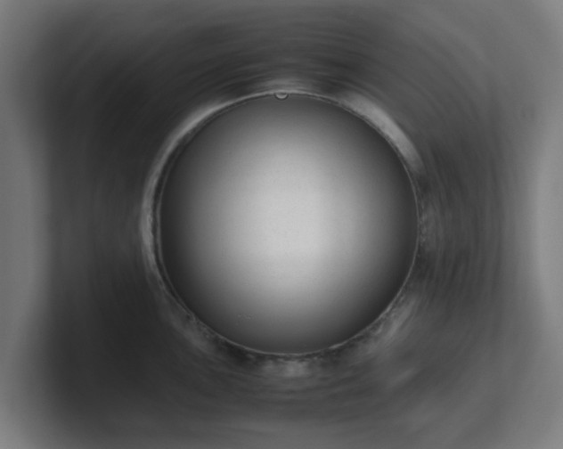 X0000101661051200807171310