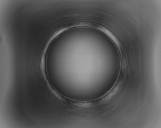 X0000101661053200807171310