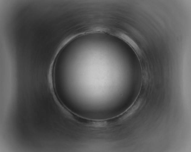 X0000101661055200807171310