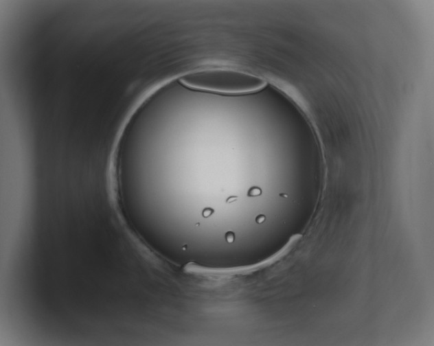 X0000101661056200807171310