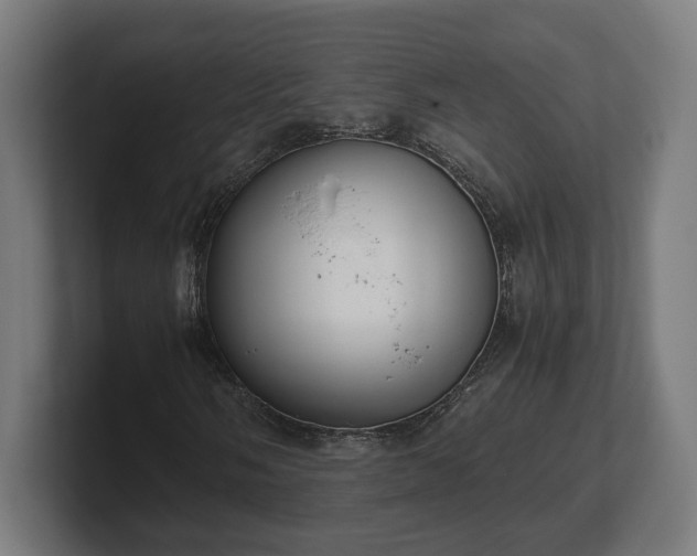 X0000101661058200807171309