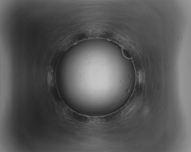 X0000101661059200807171309