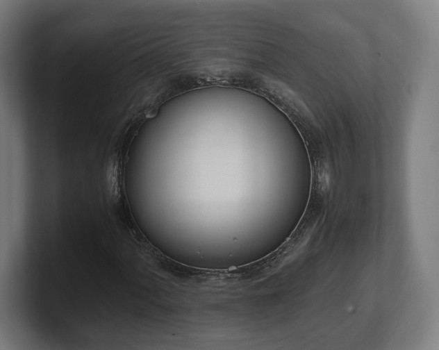 X0000101661060200807171309