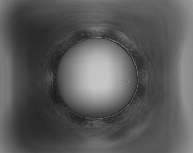 X0000101661061200807171309