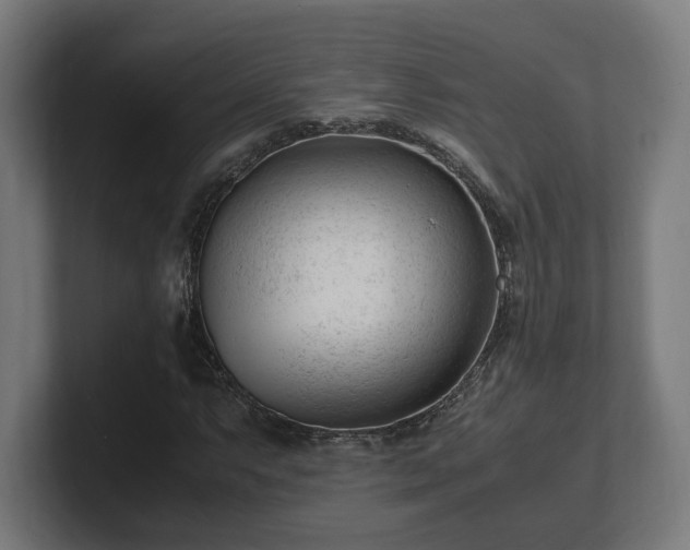 X0000101661063200807171309