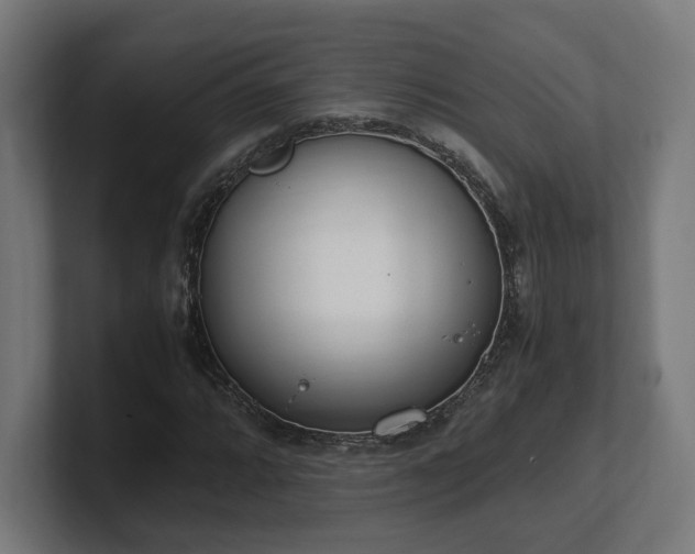 X0000101661064200807171309