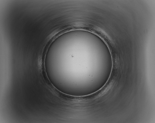 X0000101661065200807171309