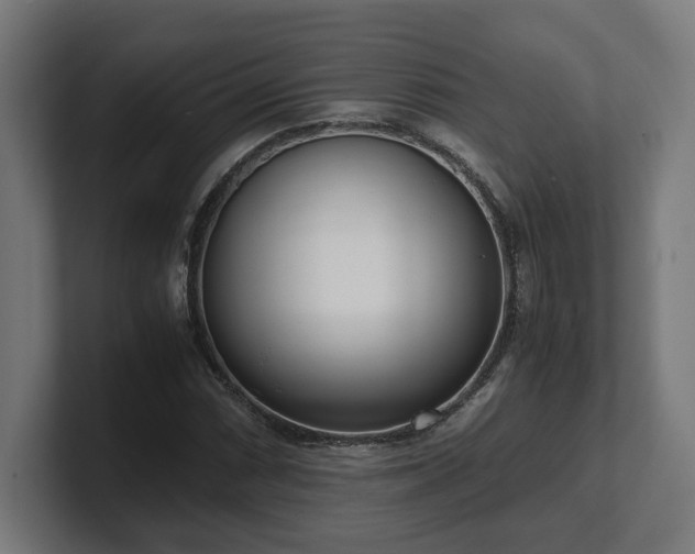 X0000101661066200807171309