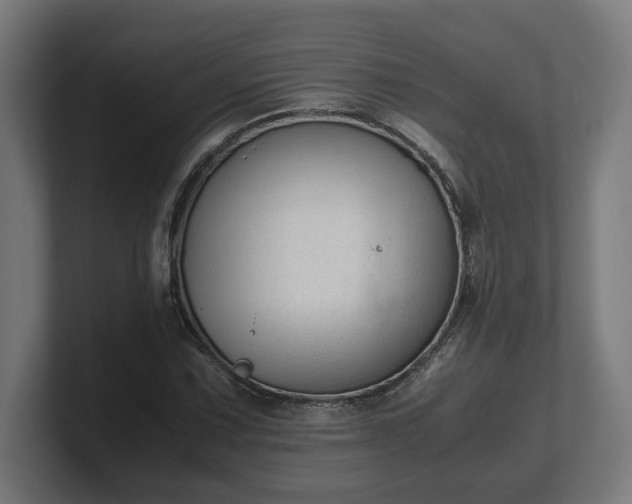 X0000101661067200807171309