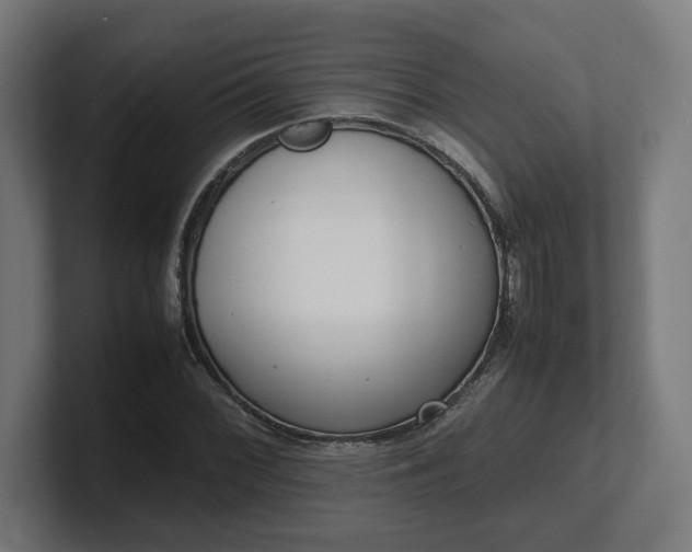 X0000101661068200807171309