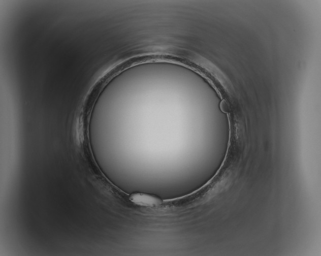 X0000101661069200807171309