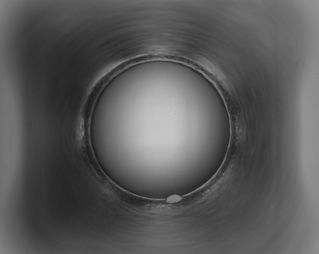 X0000101661070200807171309