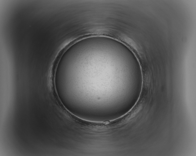 X0000101661071200807171309