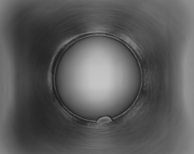 X0000101661072200807171309