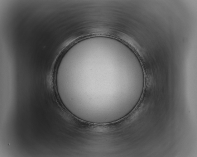 X0000101661074200807171309