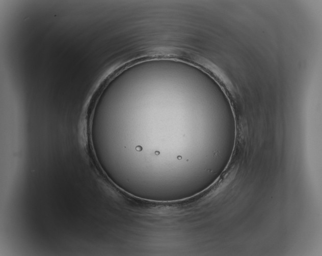 X0000101661075200807171309