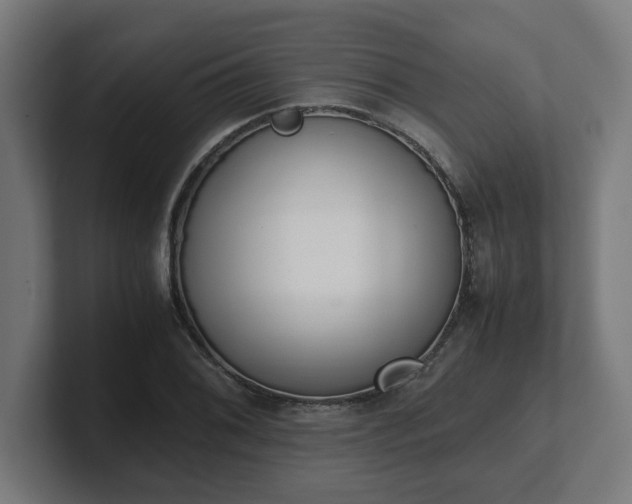 X0000101661076200807171309