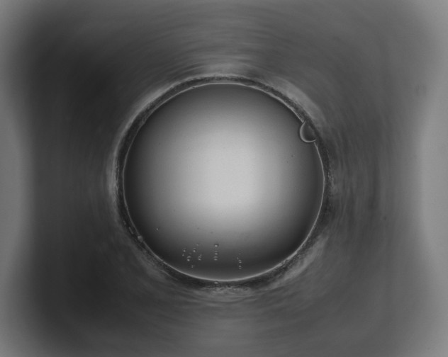 X0000101661077200807171309