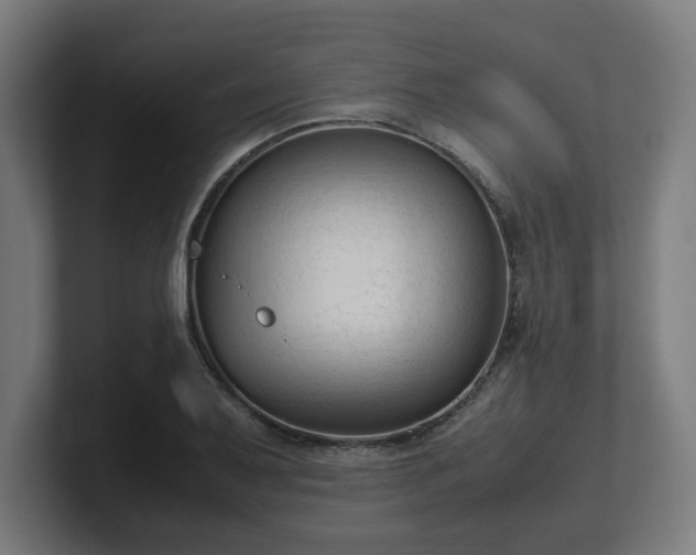 X0000101661079200807171309