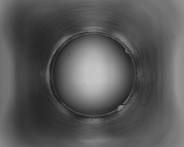 X0000101661082200807171309