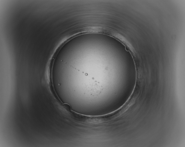 X0000101661083200807171309