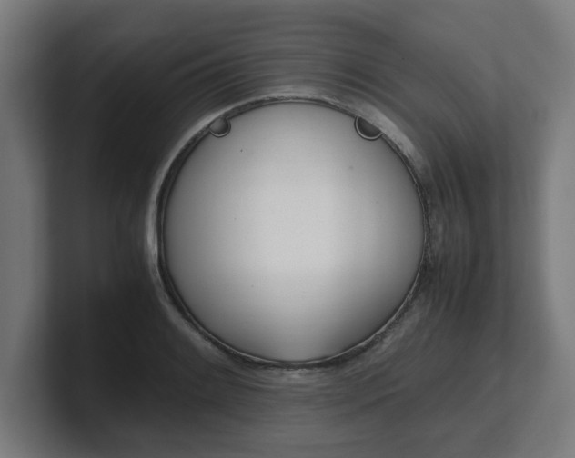 X0000101661084200807171309