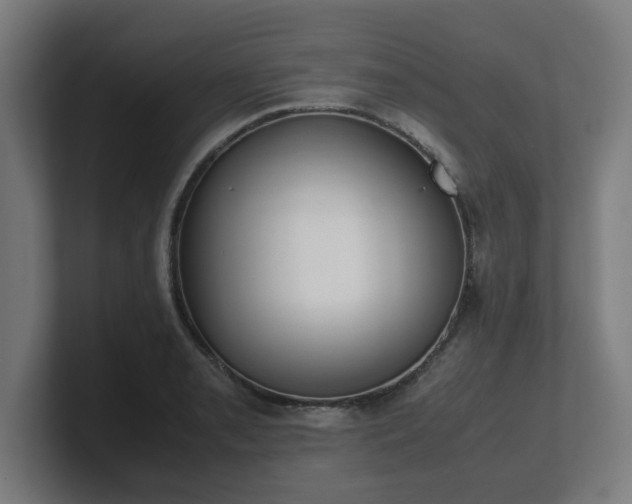 X0000101661085200807171309