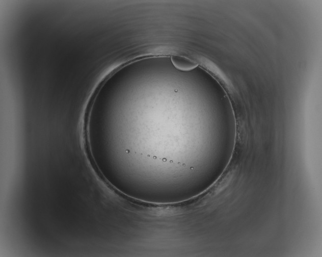 X0000101661087200807171309