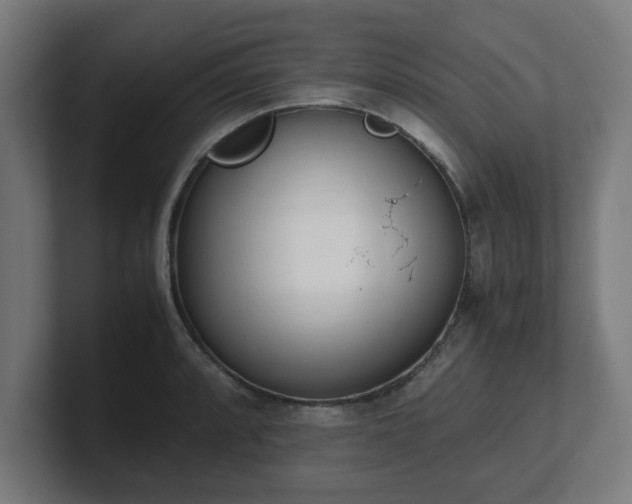 X0000101661088200807171309