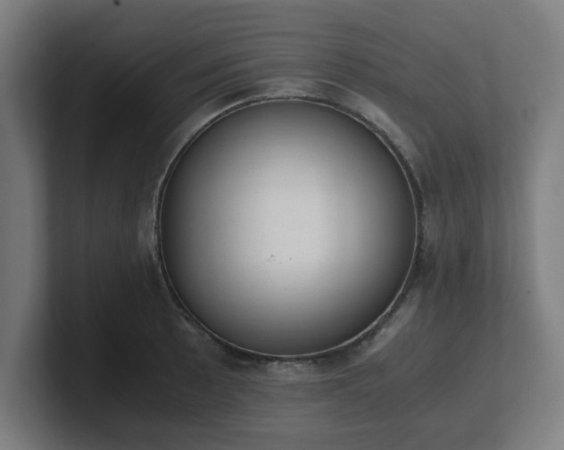 X0000101661089200807171309