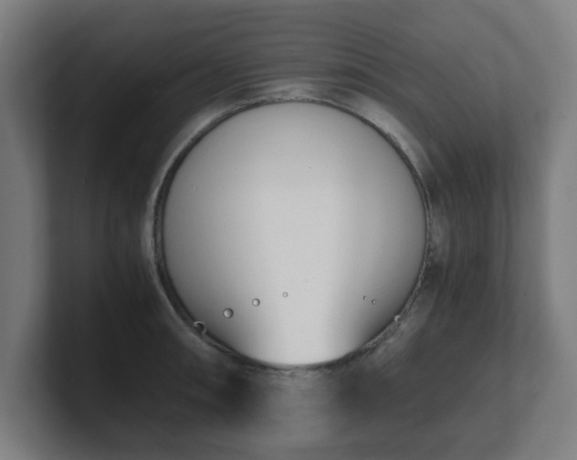 X0000101661090200807171309