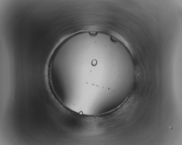 X0000101661091200807171309