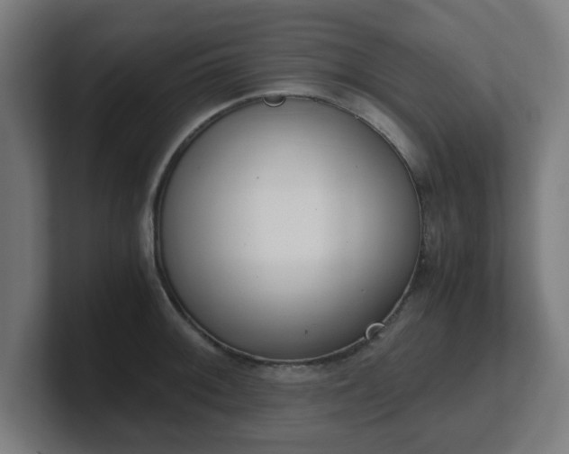 X0000101661092200807171309