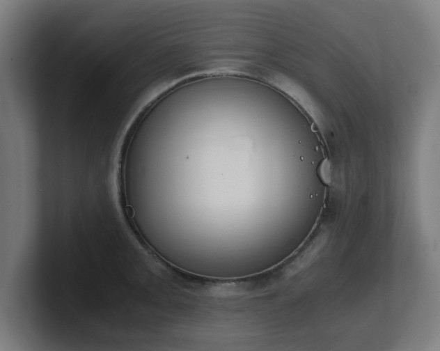 X0000101661093200807171309