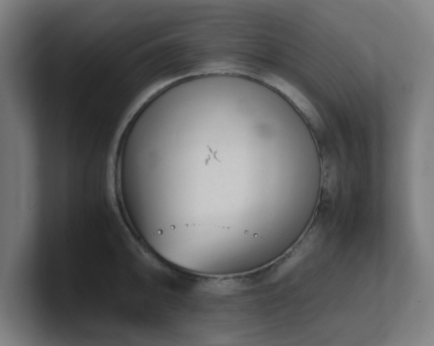 X0000101661094200807171309