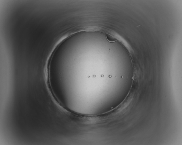 X0000101661095200807171309