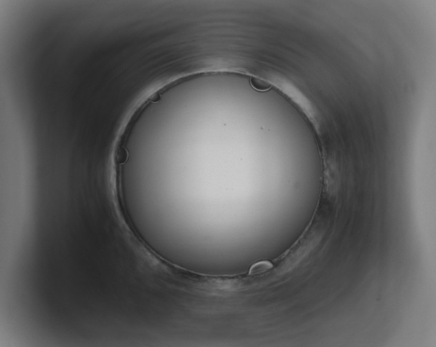 X0000101661096200807171309