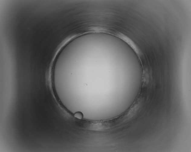 X0000101661098200807171308