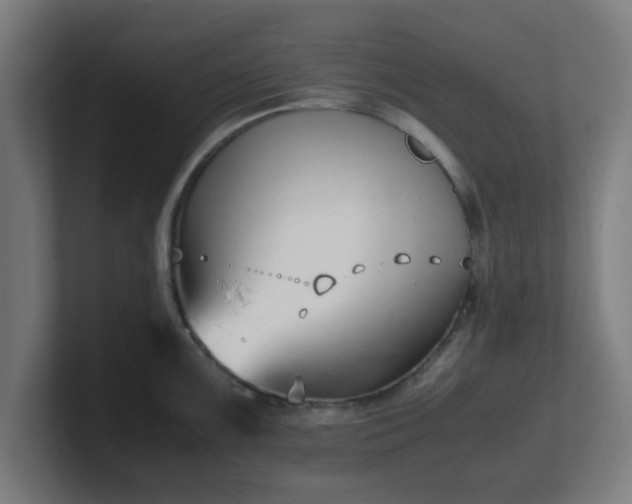 X0000101661099200807171308