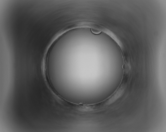 X0000101661101200807171308