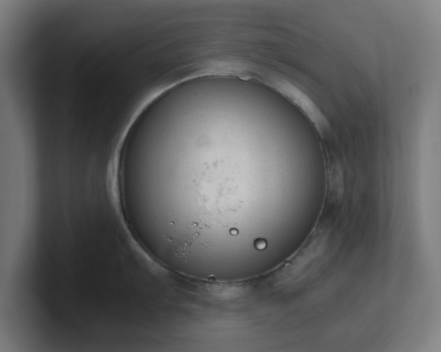 X0000101661103200807171308