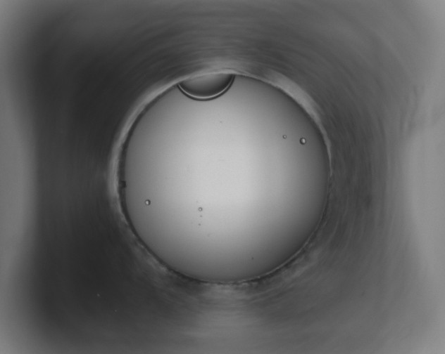 X0000101661104200807171308